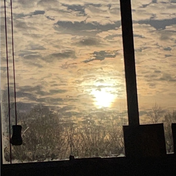 Meet your Posher, Ace - Picture 2 of 5